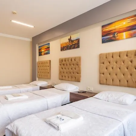 The New Hotel *