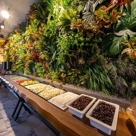 The New Hotel Estambul