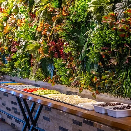 The New Hotel Estambul