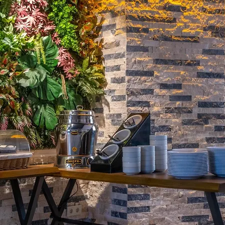 The New 伊斯坦布尔