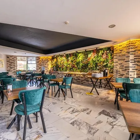 The New * 伊斯坦布尔