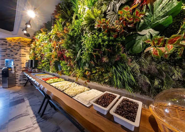 The New Hotel Istanbulská provincie