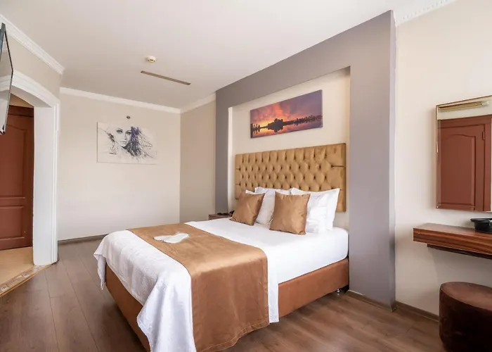 The New Hotel Istanbulská provincie