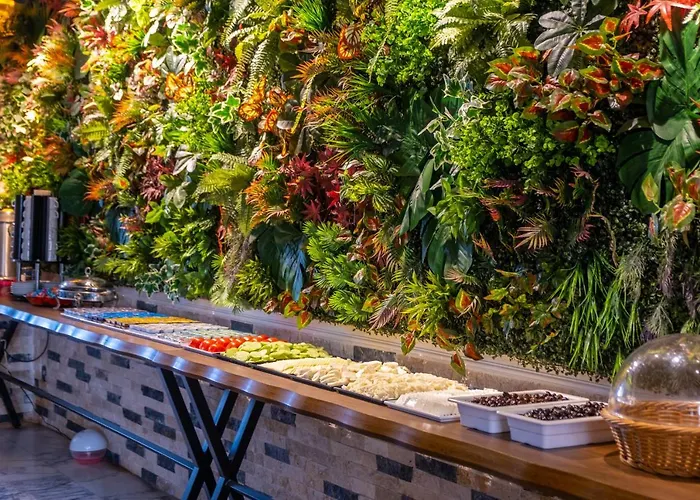 The New Hotel Stambuł