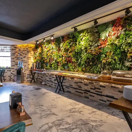 The New * 이스탄불